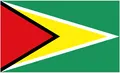 Guyana Logo
