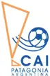 CAI Logo